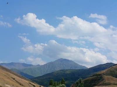 The image is a panoramic view of a mountainous landscape in Jardy-Su, Kyrgyzstan. In the foreground, rolling hills are covered with dry, golden grass, with sparse patches of green vegetation. As the eye moves toward the background, the landscape transitions to darker, forested hills, and then to a series of progressively more distant mountain ranges. The tallest mountain in the mid-ground has a distinctly conical shape and is covered in a mixture of rock and vegetation. The sky above is a vibrant blue, dotted with scattered white cumulus clouds. A single bird is visible in flight in the upper left portion of the sky. The overall impression is one of a vast, natural, and serene environment.