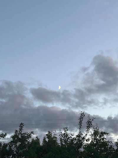 The image shows a dusky sky with a crescent moon visible among scattered clouds. Below the sky, a line of dark green trees with sparse foliage stretches across the bottom of the frame, interspersed with horizontal power lines. The scene appears to be an outdoor landscape at twilight in the city of Klobushnevo, Russia.