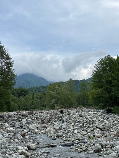 This image captures a natural mountainous landscape in Lagodekhi, Georgia. The sky occupies the upper third of the frame, presenting an overcast appearance with light grey clouds and interspersed brighter white patches; some faint, lighter blue areas are visible through the cloud cover. In the background, large mountains covered in dense, dark green deciduous forests rise, with their upper sections heavily veiled by thick, low-hanging grey and white clouds. The central mountain peak is almost entirely obscured by this cloud cover.
The mid-ground features a continuous stretch of vibrant green deciduous forest, comprising various tree species that display different shades of green foliage, extending from the base of the mountains towards the foreground. The foreground and lower mid-ground are dominated by a wide, rocky riverbed. This riverbed is densely packed with numerous grey, water-worn stones and pebbles of various sizes, indicating past and present hydrological activity. A narrow, shallow stream of clear water flows from the upper left-center of the riverbed, winding diagonally towards the lower left corner of the frame, through the rocky terrain. Scattered throughout the dry sections of the riverbed are numerous pieces of driftwood, including larger branches and root systems, suggesting previous periods of higher water volume. There are no discernible human figures, animals, or man-made objects within the frame.