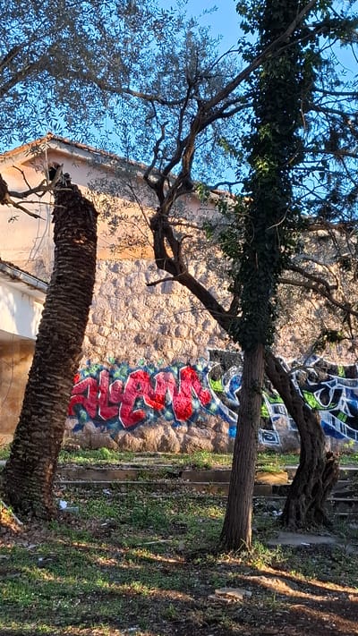 A street scene in Podgorica, Montenegro. A stone wall is covered in graffiti. Trees are in the foreground, their branches extending across the view. To the right of the wall, foliage is visible, and there appears to be a set of steps leading up to the top of the wall. The sky is blue in the upper left corner of the image.