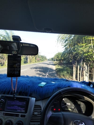 A view from inside a car, focusing on the dashboard and the road ahead. The dashboard is covered in blue fuzzy material and features a phone, air freshener, and a car stereo system displaying a warning message. The steering wheel and speedometer, reading 30 km/h, are visible. Outside, a road stretches ahead with greenery on either side. The road is straight and appears to be in a rural setting. The sky is bright, suggesting it is daytime.
