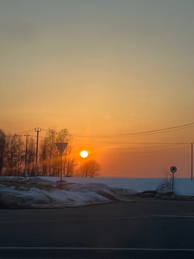 The image displays a wide-angle view of an outdoor scene in Подчерково, Russia, characterized by a low sun near the horizon during either sunrise or sunset. The sky transitions from a deep orange at the horizon to a lighter yellow-orange and then a pale blue-grey at the top. The sun, a bright, clear orange-yellow orb, is prominent in the mid-right.
In the foreground, a dark asphalt road with visible lane markings occupies the lower portion of the frame. Immediately adjacent to the road, particularly on the right side, are banks of melting snow with patches of dirt and debris. Beyond the road and snow banks, a flat, expansive field covered in snow stretches towards the horizon on the right.
On the left side of the mid-ground, a line of bare deciduous trees stands against the bright sky. Several utility poles with multiple overhead power lines traverse the scene, extending horizontally across the mid-section. Two distinct traffic signs are visible: an inverted white triangle with a red border (a "Give Way" or "Yield" sign) is positioned near the center-left, and a round white sign with a red border and an indecipherable black pictogram is located further right, partially obscured, near another utility pole in the snow-covered field. No people, subjects, actions, or interactions are visible within the frame.