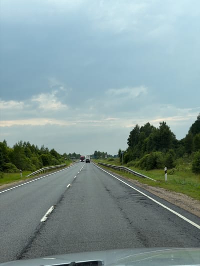 The image shows a road with a cloudy sky above. The road is asphalt and has white lane markings. On the sides of the road, there are guardrails and vegetation, including trees and grass. There are also road signs and markers visible. In the distance, there are two vehicles on the road, a red truck and a black car. The scene appears to be in a rural or semi-rural area. The image was taken from inside a vehicle, as evidenced by the dashboard visible at the bottom of the frame. There are no people clearly visible in the image. The location is Roikino, Russia.