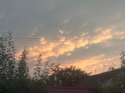 This image captures a dramatic sky with mammatus clouds illuminated by the warm hues of either sunrise or sunset. The clouds, with their distinctive pouch-like formations, are a prominent feature in the upper portion of the frame, displaying a gradient of soft oranges, yellows, and grays.
Below the sky, a row of dark green trees stretches across the middle ground, their leaves appearing dense and full. In the foreground, leafy branches from trees on either side of the frame create a natural frame for the scene. Power lines are strung horizontally across the sky, dividing the upper and lower portions of the image.
The lower part of the image shows the dark, angled roof of a building, possibly a house, with some brickwork visible on the right side. The overall scene suggests a rural or suburban setting, consistent with the provided location context of Seredivka, Ukraine.
The time of day is likely dawn or dusk, indicated by the soft, warm lighting on the clouds and the dimness of the landscape. The weather appears to be post-storm or indicative of an approaching storm, given the presence of mammatus clouds, which are often associated with severe thunderstorms. The image evokes a sense of awe and the power of nature. No visible text is present in the image.