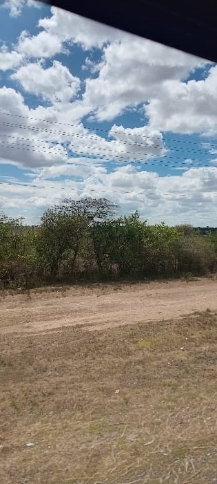 A view from a car window shows a blue sky with fluffy white clouds on the left. A line of small, uniform dots appears in the sky area, possibly from a window screen. A strip of green trees lines the middle. To the right, dry, grassy land fills the rest of the frame, with a dirt path visible. The perspective is slightly tilted.