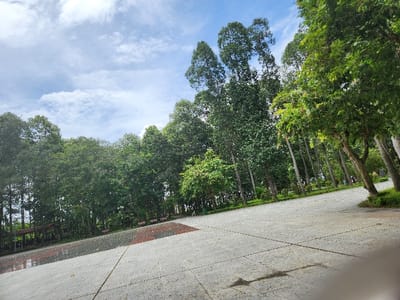 A wide, paved area stretches into the distance, bordered by lush trees under a partly cloudy sky. The pavement's light grey surface contrasts with sections of red brick patterns. Tall trees with dense green foliage dominate the landscape, some appearing slender and straight. A few distant figures are visible within the trees. The image is taken from a low angle, accentuating the depth and scale of the park setting.