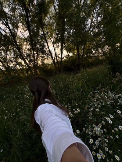 The image displays a rural landscape within the city of Tovstoluh, Ukraine, depicted from a low, first-person perspective during either sunrise or sunset. The lower portion of the frame features dense growth of tall green and desiccated light brown grass, intermingled with numerous white daisies that have distinct yellow centers. A single individual is visible in the foreground, with the back of their head, right shoulder, and extended right arm occupying the lower-right quadrant. The individual has long, dark brown hair, half of which is tied back with a black hair elastic. They are wearing a white long-sleeved shirt, and a golden-colored earring is visible on the right ear. The extended arm suggests the individual is holding the camera. In the midground and background, a thick line of trees with dark, leafy canopies is silhouetted against the sky. The sky, observed through and above the tree line, presents a prominent golden-orange glow near the horizon, indicating a low sun, transitioning to lighter shades of grey and pale blue higher up.