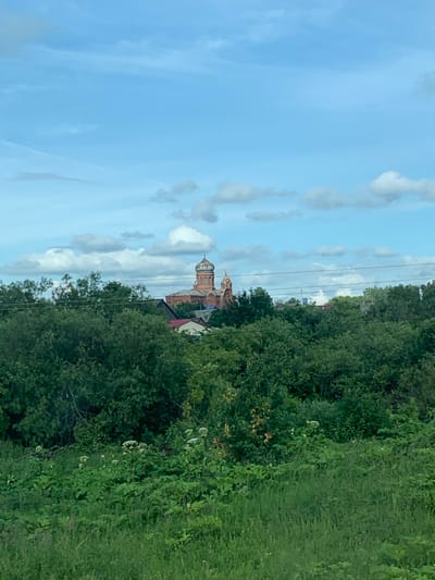 The image shows a view of the Church of the Assumption of the Blessed Virgin Mary in Pochinki, Russia, from a distance, partially obscured by a dense line of trees. The church, constructed of red brick, features a prominent blue-domed bell tower and multiple smaller domes. Below the church, some buildings with red roofs are visible, suggesting a village or town settlement. The foreground is dominated by a lush, green landscape with tall grass and various plants, indicating a rural or natural setting. The sky is a light blue with scattered white clouds. The scene is static and peaceful.