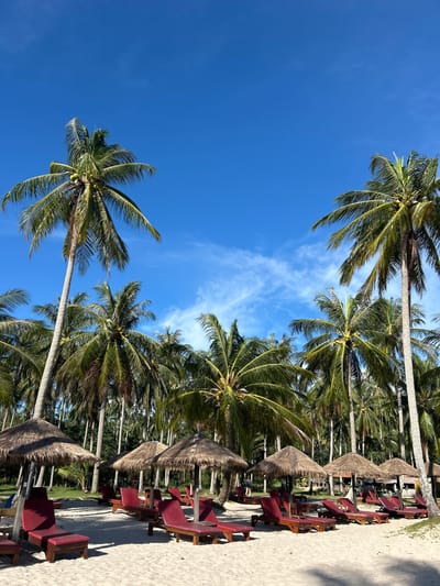 The image shows a tropical beach scene in Ban Khlong Hia, Thailand. The foreground features a sandy beach with several empty red lounge chairs and thatched umbrellas. Behind the chairs, a dense line of tall coconut palm trees stretches across the frame. The sky above is a clear, vibrant blue with scattered wispy white clouds. The lighting suggests it is daytime, with the sun casting shadows on the sand. The overall impression is one of a serene, undeveloped beach resort.