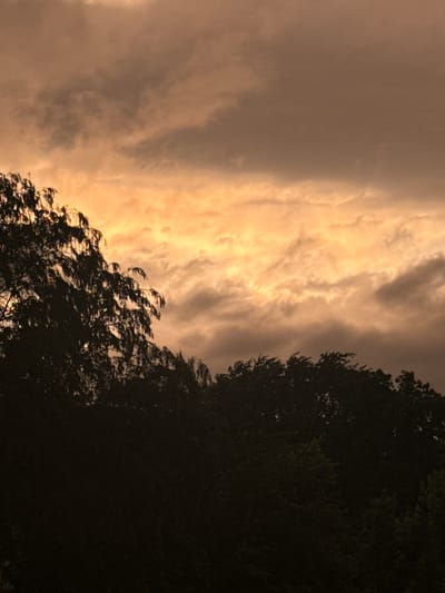 The image shows a silhouetted tree line against a dramatic, cloudy sky illuminated by the golden hues of sunset or sunrise. The trees are dark and dense, forming a distinct horizontal line across the bottom of the frame. Above the tree line, the sky is filled with thick, textured clouds, ranging from deep gray to bright orange and yellow where the light is most intense. The overall mood is atmospheric and somewhat moody due to the lighting and cloud cover. The location is unspecified within Glendale Heights, United States of America, but the scene depicts a natural landscape likely on the outskirts of urban development. There are no people or discernible human activity present in the image.