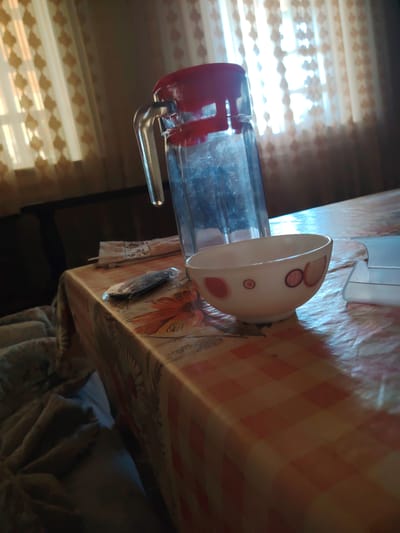 The image depicts an indoor scene, likely a dining area, with a table covered by a checkered tablecloth. On the table, there is a clear glass pitcher with a red lid and handle, a white bowl with red circular patterns, and a small, dark object in a clear plastic wrapper. A crumpled blanket or throw is visible on the left side of the image, partially covering a dark sofa. Behind the table, sheer curtains with a diamond pattern are drawn over a window, allowing sunlight to stream through, creating a bright, diffused light. The overall setting suggests a domestic environment, possibly in Payshanba, Uzbekistan, though no specific landmarks or distinguishing features confirm this location definitively. There are no people present in the image.
