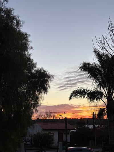The image shows a sunset in Maldonado, Uruguay. The coordinates provided locate the image at a residential area on the outskirts of the city. In the foreground, there is a small house with a red tile roof and a green bush in front of it. The house is partially obscured by a large tree on the left side of the image and a palm tree on the right. The sky is a vibrant orange and pink, with clouds streaking across it. The image is captured from a slightly elevated vantage point, looking across a quiet street. The trees are silhouetted against the sky, and there are some power lines visible. The picture shows a typical scene of a residential area in a coastal city during a beautiful sunset.