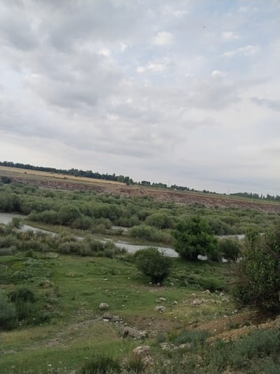 The image depicts a wide, natural landscape under a cloudy sky, likely in the vicinity of Көксаяқ ауылдық округі, Kazakhstan. A river meanders through a valley, flanked by dense, green vegetation, appearing as a thick carpet of bushes and trees. On the higher ground beyond the valley, agricultural fields, characterized by yellowing crops and scattered trees, are visible, stretching towards a distant treeline. The terrain is varied, with slopes and undulations leading up to the cultivated areas. The overall impression is one of a rural, undeveloped natural setting. There are no people or animals visible in the frame, nor are there any specific man-made structures that would identify a precise urban location within the rural district. The environment suggests a temperate climate with evidence of both natural flora and agricultural activity.