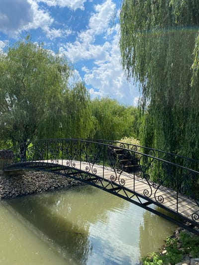 This is a vertically oriented, eye-level, medium shot of a small, ornate bridge crossing a narrow waterway. The bridge has a wooden plank deck and black wrought-iron railings with decorative swirls. The waterway is bordered by a rocky embankment on the right and lush green trees on the left. The trees, which appear to be willow trees with long, drooping branches, create a dense canopy, with glimpses of a blue sky with white, fluffy clouds peeking through. The water in the canal is murky green and reflects the sky and surrounding foliage. Small dark specks, possibly leaves or debris, are visible floating on the surface of the water.
The scene suggests a peaceful, natural setting, likely a park or garden. The time of day appears to be daytime, given the bright sunlight illuminating the scene and the presence of clouds in the sky. The weather seems to be pleasant and sunny. There are no people or animals visible in the frame. The image is rich in natural elements and conveys a sense of tranquility. The specific details of the wrought-ironwork on the bridge suggest a touch of human craftsmanship within the natural landscape. There is no visible text in the image.