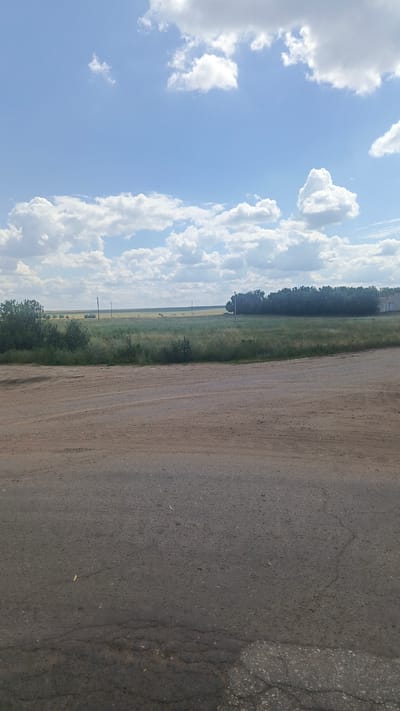 A wide shot captures a rural landscape under a partly cloudy sky. The foreground features a dirt road that curves to the right, transitioning into an asphalt road with some cracks. Beyond the road, a field of green grass and some scattered bushes stretches into the distance. A line of trees runs horizontally across the mid-ground, with a few small structures, possibly buildings, visible behind them. Utility poles are dotted across the landscape. The sky is a bright blue with scattered white cumulus clouds.