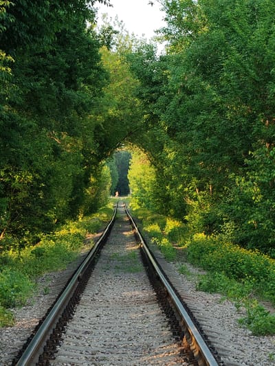 A straight stretch of railroad tracks extends into the distance, appearing to converge under a natural tunnel formed by dense green trees and foliage. The tracks are made of steel and run over a bed of gray ballast rocks. Some small green plants and yellow flowers are growing between and along the tracks. A lone figure can be seen at the far end of the tunnel. The image was taken in Mikhnevo, Russia.