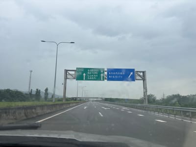 The image captures a view from a vehicle traveling on a wet, multi-lane highway under an overcast sky. Overhead signs indicate directions to "BATUMI" and "SARPI" on the left, and "NIGOITI" on the right. The signs are in both Georgian and English. On the left side of the highway, a tall cell tower is visible in the distance. The right side of the road features a metal guardrail and a concrete barrier. Trees and hills form the background landscape, with a few tall, slender trees appearing prominently in the mid-ground. The road surface is marked with white lane lines and directional arrows. The overall impression is a travel scene on a highway in or near Nigoiti, Georgia, during possibly rainy or recently rainy conditions.