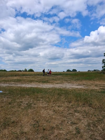 The media file depicts a horizontal, ground-level outdoor scene featuring a grassy field under a partly cloudy sky. The image is oriented sideways, with the sky occupying the left side and the field the right. Several people are visible in the distance on the field, appearing to be engaged in some activity. One group of three individuals, two in red shirts and one in white, are closer together, while a fourth person in a black shirt stands slightly apart. The field itself is a mix of dry, golden grass and patches of greener vegetation, suggesting a rural or park-like setting. A dirt path or track runs diagonally across the field. The sky is dominated by large, fluffy white clouds against a bright blue background, indicating a sunny day. The lighting suggests it is daytime, likely mid-afternoon given the brightness. The overall mood appears casual and relaxed, with the people enjoying the outdoor space. No text is visible in the image. The location context suggests this scene is in Reutyntsi, Ukraine.