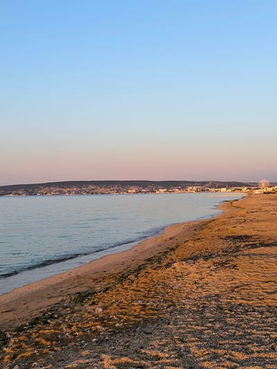 The image depicts a serene beach scene at sunset in the village of Berehove, Ukraine. The sky transitions from a clear, pale blue at the top to a soft pink and orange hue near the horizon. A calm body of water, likely the sea, gently laps at a sandy shoreline. The beach itself is composed of sand interspersed with small shells and scattered patches of seaweed. In the distance, a town or city sprawls along the base of a gently sloping, tree-covered hill. The cityscape is dotted with buildings and a prominent Ferris wheel can be seen on the right side of the image, suggesting a recreational area. A few small buoys are visible in the water near the shore, marking a section of the beach. No people are present in the frame. The overall impression is one of tranquility and natural beauty bathed in the warm light of the setting sun.