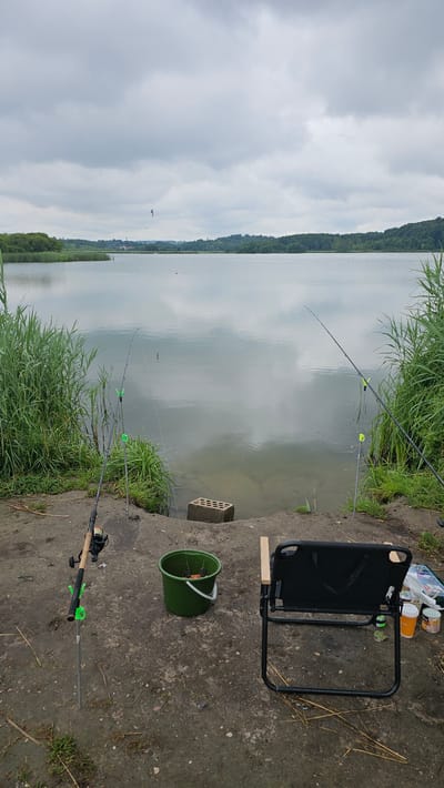 This image depicts a serene fishing setup beside a calm body of water. The location is identified as Moluvėnai, Lithuania. In the foreground, a fishing chair with black fabric and wooden armrests is positioned on a patch of dry, gray ground. To the left of the chair, a green bucket, likely used for bait or catches, sits on the ground. A fishing rod is planted upright in the ground near the bucket, its reel visible. Further to the left, another fishing rod is also placed in the ground, attached to a silver stand with green rod holders.
The shoreline is lined with tall, green reeds. Beyond the reeds, a large expanse of water stretches out, reflecting the overcast sky. The water appears calm with subtle ripples. In the distance, a densely wooded landscape forms the horizon, with rolling hills covered in trees. The sky is predominantly gray with patches of lighter clouds. A single bird is captured in flight high above the water. A single brick lies partially submerged at the edge of the water, near the reeds. On the ground to the right of the chair, several small containers and items are scattered, suggesting fishing supplies. The overall scene conveys a sense of quiet anticipation and a connection with nature.