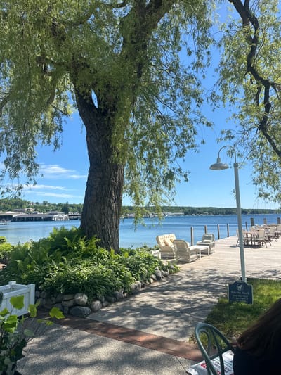 A sunlit, outdoor scene depicts a waterfront view in Harbor Springs, Michigan, USA, likely from a restaurant or resort. A large willow tree with drooping branches dominates the left side of the frame, its thick trunk textured and aged. Beyond the tree, a calm blue lake stretches to the horizon, dotted with white clouds in a bright blue sky. The lake is bordered by a distant treeline and a cluster of buildings, some with white trim, suggesting a town or developed area.
In the foreground, a wooden deck with a light wood finish extends into the lake. Several tables with wicker chairs are arranged on the deck, set for outdoor dining. A white lamp post with a vintage-style shade stands near the edge of the deck. To the left of the deck, a seating area features white wicker sofas and chairs with light-colored cushions. A low, white picket fence encloses a garden bed filled with lush green ferns and other plants.
The ground in the immediate foreground is a textured gray surface, possibly a walkway or patio, with sections of red brick bordering it. Shadows from the trees and possibly an overhead structure are cast across the ground. A small, dark blue sign with white lettering is visible on the grass near the deck, reading "Private Dock Dock Face Must Remain Open at All Times." In the lower right corner, the back of a person with dark, long hair is visible, seated in a green metal chair. A white object, possibly a bag or cushion, is at their feet. The overall atmosphere is serene and inviting, suggesting a pleasant summer day by the water.