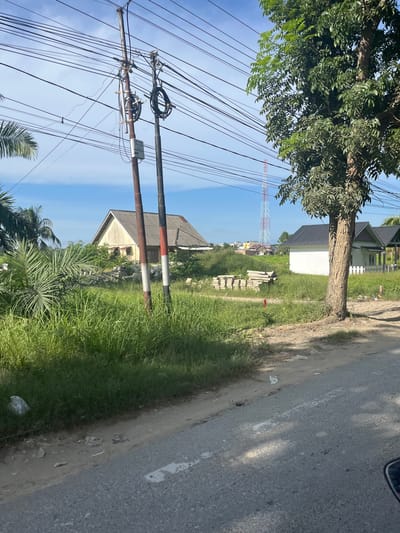 This image depicts a street scene in Tanahterban, Indonesia, characterized by a rural or semi-rural environment. The foreground shows a paved road with a sandy shoulder. On the left side of the road, tall green grass and palm fronds are visible. Two utility poles with numerous power lines are prominent in the mid-ground, along with a single mature tree with dense green foliage. Behind the utility poles and to the left, a light-colored house with a gray roof and a triangular facade is situated amidst overgrown vegetation. In the distance, a red and white lattice tower is visible against a bright blue sky with scattered clouds. To the right of the tree, a small, modern white house with a dark roof and a white picket fence is present. The scene appears to be captured during daylight.