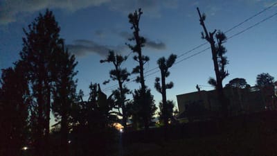 The image depicts a night scene in Longuo 'A', Tanzania. The foreground is dominated by silhouetted trees and vegetation, creating a dark, undefined mass. Behind the trees, there is a building partially visible, also silhouetted. Power lines stretch across the frame above the trees and in front of the building. The sky transitions from a darker blue at the top to a lighter blue and orange near the horizon, suggesting twilight or early evening. A few clouds are visible in the upper left. No people or other specific subjects are distinguishable. The overall environment appears residential or rural.