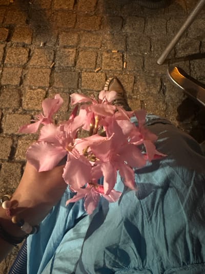 The image shows a person holding a bunch of pink flowers. The person is wearing a blue garment and a shoe with a patterned fabric. The background is a cobblestone ground with some cigarette butts scattered on it, suggesting an outdoor urban setting. The lighting suggests it is nighttime or dusk. The presence of cobblestones and the general aesthetic are consistent with a historic city center. Noyon, France, is known for its medieval architecture and charming streets, which often feature cobblestone pavements. Therefore, the scene is likely located in Noyon.