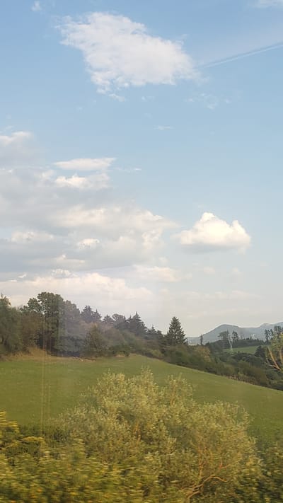 A wide shot captures a rolling green landscape under a pale blue sky dotted with white clouds. The foreground features a grassy slope partially obscured by a dense, leafy green bush that appears slightly out of focus due to motion blur. The middle ground showcases a larger, more defined grassy hill with scattered trees and a line of darker green trees forming a silhouette along the horizon. In the distance, rolling hills and mountains are visible, with more trees scattered across their slopes. The sky is bright, suggesting daylight, and a faint contrail can be seen in the upper right portion of the frame. The overall impression is a serene, natural landscape, likely rural, given the absence of urban structures. This scene could depict the outskirts of Vlachy, Slovakia, a region known for its natural beauty and rolling terrain.