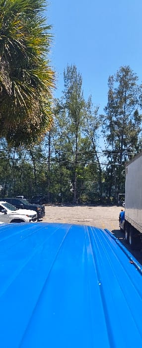 The scene depicts an outdoor environment in Doral, United States of America, under a clear blue sky with bright sunlight. The foreground is occupied by the bright blue, corrugated metal roof of a large vehicle or structure, featuring parallel ridges.

To the left of the blue roof, several vehicles are parked on what appears to be an asphalt or gravel surface. A white pickup truck or SUV is partially visible, its front and hood facing left. Behind it, multiple dark-colored vehicles, consistent with sedans or SUVs, are parked in a row.

To the right, a large white semi-trailer is partially visible, positioned next to a blue vehicle, likely a truck cab, whose upper portion is obscured by the trailer.

The mid-ground reveals an unpaved or gravel lot. The background consists of a dense line of tall, slender trees with green foliage, suggesting a wooded area. Horizontal power lines or communication cables are visible strung across the mid-ground, intersecting the upper portions of the trees. In the upper left quadrant, the fronds of a large palm tree extend into the frame. No individuals are visible, and no specific actions or interactions are depicted.