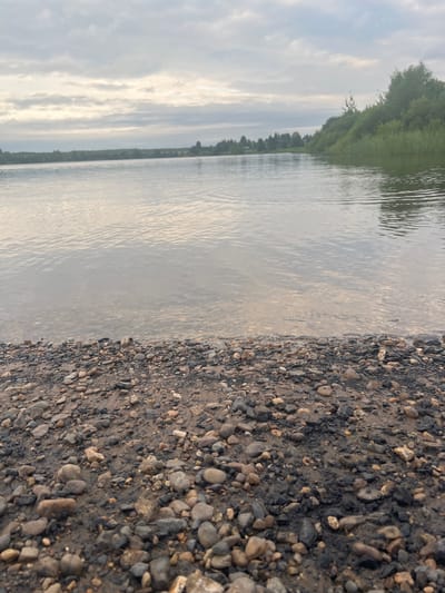 The image captures a waterfront scene in the city of Sen'kino, Russia, under an overcast sky. In the foreground, a pebbly shore is visible, with an array of stones of various sizes and colors embedded in damp, dark soil. The water's edge is clearly defined by the transition from dry pebbles to submerged ones. The river itself stretches across the midground, its surface rippling gently, reflecting the muted light from the sky. The water appears shallow near the shore, allowing the submerged stones to be seen. In the background, a line of trees and vegetation marks the opposite bank, with some indications of scattered buildings or structures nestled amongst the greenery. The overall atmosphere is serene and natural, characteristic of a rural or semi-rural setting along a body of water. There are no people or animals visible in the image.