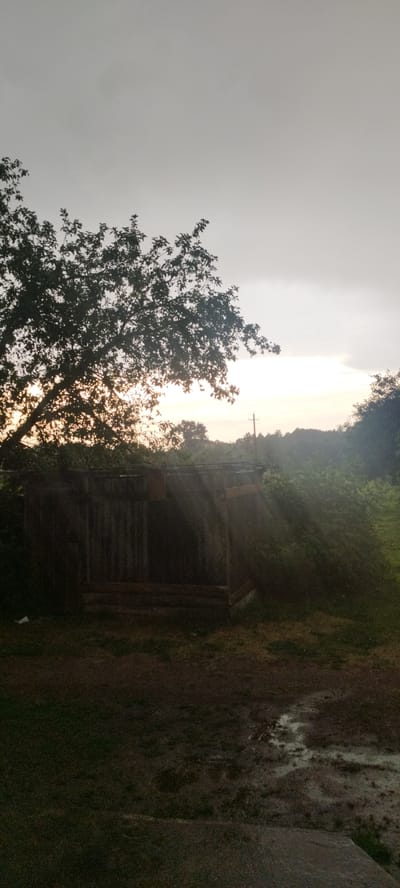 An outdoor vertical, medium shot captures a rustic, unfinished wooden structure under a hazy, overcast sky with visible sunbeams breaking through the cloud cover. The structure, appears to be a shed or an open-sided shelter, is constructed with vertical wooden planks and has exposed wooden beams at the top. In the foreground, the ground is covered with dry grass and dirt, with a patch of standing water reflecting the light. To the left of the structure, a large tree with dark foliage is silhouetted against the sky, with sunlight filtering through its branches. The background consists of dense green foliage and a distant tree line under a pale, washed-out sky. A solitary utility pole is visible in the mid-ground. The overall scene suggests an outdoor rural or semi-rural setting, possibly in or near Сінькоўскі сельскі Савет, Belarus, with a slightly damp or post-rain atmosphere indicated by the water on the ground and the diffused light. There are no people or animals present in the image.