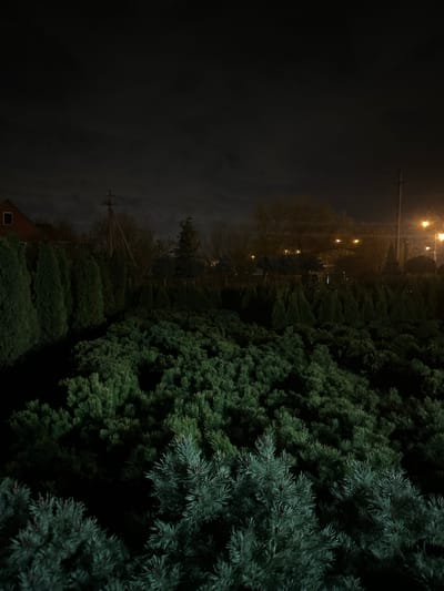 The image shows an outdoor scene at night. The right side is dominated by a dense collection of evergreen trees. On the left side, the environment is dark, but street lights illuminate other trees and power lines in the distance. At the bottom left, a corner of a building with a window is visible. There is no evidence to confirm that the image was taken in the city of Ivanovka, Russia.