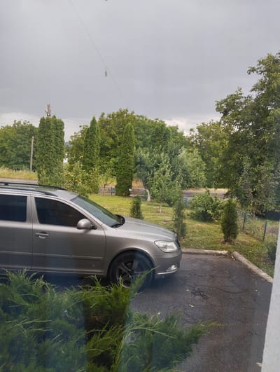 A grey station wagon is parked on an asphalt surface adjacent to a grassy area and a line of trees. The sky is overcast. A thin wire is visible stretching across the upper portion of the image. In the foreground, green shrubbery partially obscures the view of the vehicle and the parking area.