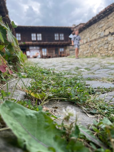 The image captures a low-angle view of a cobblestone street in Zheravna, Bulgaria. In the foreground, lush green grass and large green leaves dominate the lower half of the frame, partially obscuring the path. In the midground, the cobblestone street is visible, leading towards a traditional wooden house with multiple windows. The house appears to be a historical building, possibly a museum or guesthouse, indicated by signage visible on its facade. Further in the background, a person wearing a patterned outfit walks along the street, their form blurred by the shallow depth of field. The surrounding environment suggests a rustic, historical setting, with a stone wall on the right side of the image. The sky above is overcast with clouds, contributing to a subdued, natural light.