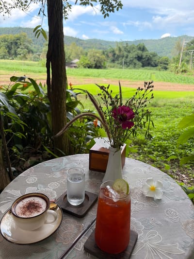 This is a close-up, eye-level, medium shot of a table with drinks and a floral arrangement, set against a backdrop of lush greenery and rolling hills in Ban Huai Takhrai, Thailand. The table is covered with a patterned cloth. On the left is a white ceramic cup with a saucer and a gold spoon, filled with a beverage topped with whipped cream and cocoa powder. Next to it is a clear glass of water with ice, placed on a dark wooden coaster. To the right of the glass of water is a tall glass filled with a reddish-brown liquid, ice, and a slice of lime. To the right of the tall glass, a white flower with a yellow center rests on the tablecloth. Behind the drinks, a white vase holds a bouquet of dried grasses and a single dark pink flower. A small wooden box is positioned behind the vase. In the background, a field of green crops stretches towards a line of trees and distant mountains under a cloudy sky. A tree trunk is visible on the left side of the image.