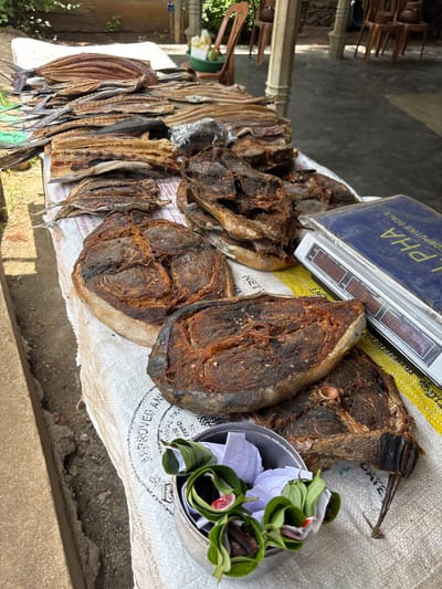 The image shows a market scene in Kudawella, Sri Lanka. A table draped with a white and yellow striped cloth displays dried fish of varying sizes and shapes. An "Alpha" computing scale sits on top of the fish. A small metal bowl filled with betel leaves and paper notes is visible near the dried fish. The background shows parts of the street.