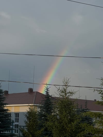 This image captures a faint rainbow arching across a cloudy sky. The rainbow is positioned to the left of center, with its colors slightly muted due to the overcast conditions. The sky itself is a pale gray, indicating a possibility of recent rain or ongoing cloud cover.

In the foreground and extending into the right side of the frame are the branches of evergreen trees, likely fir or spruce, with their dark green needles creating a textural contrast with the sky. Behind the trees and the rainbow, a building is visible. It appears to be a multi-story structure with a reddish-brown, sloped roof and a light-colored, vertically paneled facade on the right side, featuring several windows. Some antennas or lightning rods are also attached to the building. Power lines stretch across the sky, intersecting the view and adding a sense of urban or suburban setting.

The lighting suggests it might be late afternoon or early morning, given the soft light and the presence of the rainbow, which typically appears when the sun is at a low angle and shining through raindrops. The overall mood is serene and perhaps a bit melancholic, due to the muted colors and cloudy sky, but the presence of the rainbow offers a touch of hope or wonder. There is no visible text in the image. The location context suggests Mursalimkino, Russia.