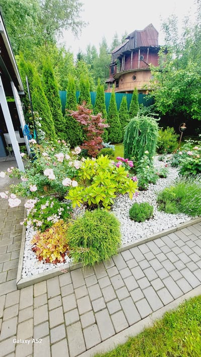 The image depicts a meticulously maintained garden in Zhavoronki, Russia, likely during daylight hours given the bright illumination. The scene showcases a variety of plants, including lush green trees, a red-leafed Japanese maple, vibrant pink roses, lavender, and various shrubs and ground cover. These plants are arranged in distinct sections, bordered by white gravel and a paved walkway made of gray interlocking bricks. A bright green lawn borders the walkway on the right.
In the background, a unique, reddish-brown building with a multi-layered, corrugated roof and circular windows is visible, partially obscured by trees. This structure appears to have an unusual, almost nautical design. A dark green fence runs along the property line. The overall impression is one of a well-kept, artfully landscaped outdoor space. The weather appears to be overcast, judging by the diffused light. There is no visible activity or people in the frame, suggesting a peaceful, tranquil setting. The text "Galaxy A52" is visible in white lettering along the bottom right edge of the image.