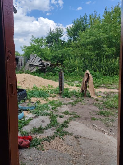This image captures a view from an open doorway, looking out into what appears to be a rural or semi-rural yard. The doorway itself is framed by a dark brown, weathered wooden structure.
The yard contains a variety of elements. In the foreground, there is a patch of cracked concrete with scattered gravel and small green plants growing through the cracks. To the left, a large black tire is visible, and next to it, a blue tire has been repurposed as a planter with a small amount of soil and some greenery. Further into the yard, a large mound of light-colored material, possibly wood chips or sawdust, is present.
Behind the mound, a pile of weathered wooden planks and corrugated metal sheets, suggesting the remnants of a collapsed structure, leans against a fence. A wooden post stands in the middle ground, and draped over it is a beige tarp or blanket. Beyond this, dense green foliage and trees form a thick backdrop.
In the upper portion of the image, a bright blue sky is visible with scattered white, fluffy clouds. The overall impression is of a somewhat neglected outdoor space with signs of construction or demolition debris, mixed with natural elements. The location is identified as the city of Первомайский, Russia.