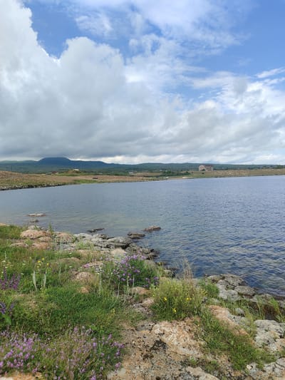 The image depicts a landscape scene, likely a body of water with a rocky, grassy shoreline in Berdkunk, Armenia. The foreground is dominated by the shoreline, characterized by large, light-colored rocks interspersed with green grass and clusters of small purple and yellow wildflowers. The water of a lake or reservoir stretches across the middle ground, appearing calm with subtle ripples on its surface. In the background, a gently rolling landscape of dry, brownish-green hills leads to a distant mountain under a cloudy sky. A multi-story building with a distinctive A-frame roofline is visible on the far bank of the water, along with some smaller structures and a road. The sky is a mixture of blue patches and heavy, gray clouds, suggesting a partly cloudy or overcast day. No people or animals are visible in the image.