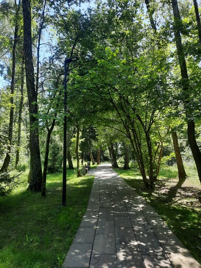 The image shows a paved pathway in a park, flanked by trees and green grass. The pathway is made of light-colored rectangular stones and is shaded by the leaves of the trees. There is a lamppost on the left side of the pathway. In the background, there are more trees and some benches visible. The scene suggests a pleasant, natural setting within an urban environment. The lighting indicates it is daytime with sunlight filtering through the trees, creating dappled shadows on the path and grass.
