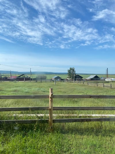 The image depicts a rural landscape in the village of Betuntsy, Russia, under a partly cloudy sky. In the foreground, a wooden fence runs horizontally across the frame, with tall green grass growing on either side. Beyond the fence, a grassy field stretches towards a cluster of wooden houses and other structures. Power lines and poles are visible in the middle ground, running parallel to the fence. In the background, a line of trees and rolling hills can be seen under the expansive blue sky. A few cows are scattered throughout the field. The overall scene conveys a sense of a tranquil, rural setting.