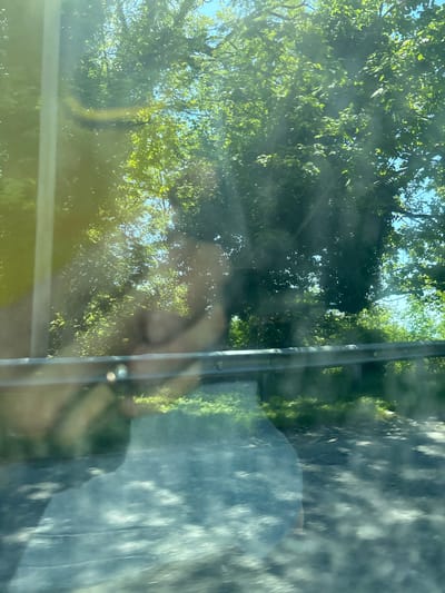 This media file presents a sunlit view of a natural, tree-filled environment as seen through a highly reflective window, likely from inside a vehicle. The image is originally oriented vertically but depicts a horizontal scene.
The dominant features are dense green foliage and tree branches, illuminated by bright sunlight filtering through the leaves, revealing patches of clear blue sky. The sunlight creates strong highlights and subtle lens flares, suggesting a clear day.
Superimposed over this exterior scene are significant reflections from the interior of the vehicle. A blurred, translucent reflection of a human figure, possibly a head and shoulders, is visible towards the center-right of the image. A dark vertical strip, likely a car's A-pillar or window frame, runs down the right side of the frame, further indicating the view is from within a car. Below the tree line, a muted, greyish area with some texture might be a road or ground, also seen through the glass. The combination of the exterior view and interior reflections creates a layered, somewhat ethereal effect.
The activity captured is essentially observing the outdoor environment from a vehicle. The time of day appears to be bright daytime, under clear and sunny weather conditions. There is no visible text in the image. The location is Gwandra, Abkhazia, suggesting the verdant scenery is characteristic of this region.