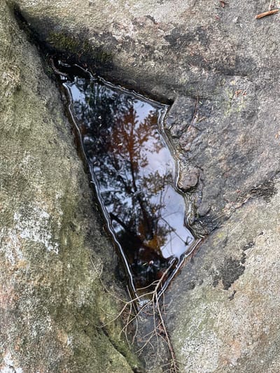 The image shows a close-up view of a small, irregularly shaped puddle of dark water nestled in a crevice between two large, rough-textured rocks. The rocks are weathered and appear to be covered in patches of moss and lichen, with some dry pine needles and small twigs scattered on their surfaces. The water in the puddle is still and reflects the branches of a nearby tree and the sky above, which is cloudy and light gray. The overall scene suggests an outdoor, natural environment, likely in a wooded or rocky area. There are no people or animals visible in the image. The location is stated to be the Village of Lyons Falls, United States of America, but this specific scene is not identifiable as a particular landmark within the village without further context.