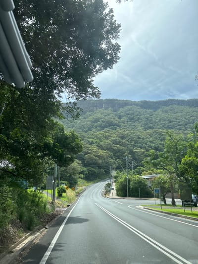 The image displays a two-lane asphalt road curving right in Coalcliff, Australia, viewed from the interior of a vehicle, with a grey structural element visible in the upper left corner. The road features double solid white center lines and a solid white line marking the left shoulder, transitioning to a dashed white line on the right shoulder, indicating a right-hand turn-off or intersection. To the left of the road, a steep, heavily vegetated embankment is visible, containing a utility pole and at least two yellow diamond-shaped road signs, one indicating a right curve ahead and another a T-intersection. To the right of the road, a grassy median separates the main thoroughfare from a side road or turn-off. This area includes additional utility poles carrying power lines, a blue rectangular sign, and a dark-colored vehicle partially obscured by trees. The background is dominated by a dense, green mountain range, heavily forested, with exposed rock formations visible along its upper ridge under a partly cloudy sky. No individuals are present in the scene.