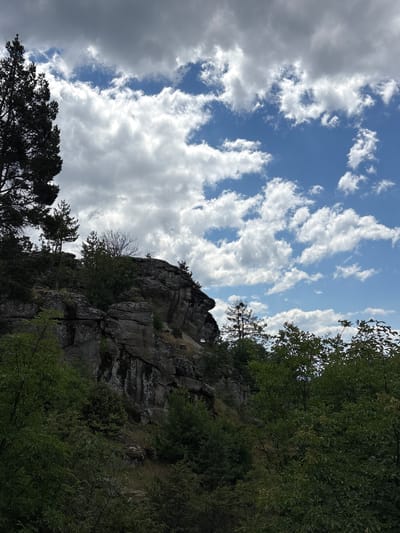 The image shows a rocky cliff face partially covered with trees and foliage, set against a sky filled with white and gray clouds. In the foreground, dense green trees obscure the lower part of the cliff. The cliff itself is composed of large, weathered rock formations, with some patches of moss and vegetation growing on its surface. Several trees, including a tall evergreen on the left and a smaller, bare-branched tree near the summit, are visible growing on or near the top of the cliff. A few scattered white objects, possibly signs or structures, are attached to the cliff face. The overall environment appears to be a natural landscape.