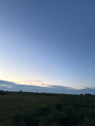 The image depicts a wide expanse of dark green vegetation, likely a field or meadow, under a clear, pale blue sky that transitions to a lighter hue near the horizon. A faint band of clouds stretches across the sky, just above the tree line. Silhouetted trees are visible on the distant horizon, dotting the landscape. The overall scene conveys a sense of tranquility and a rural environment. The location is identified as Imelevo, Russia. There are no people or specific actions visible in the image; it is a static landscape view.