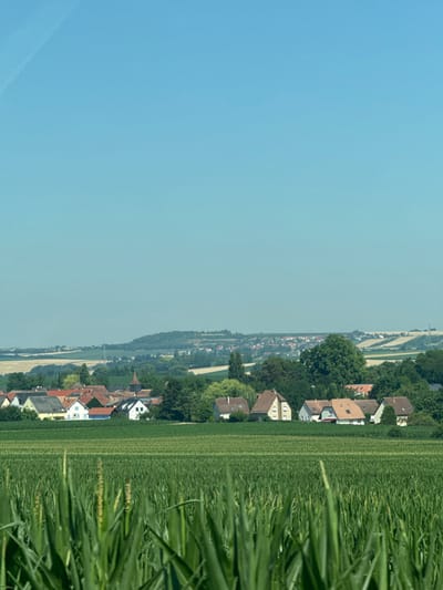 A view of a rural landscape. Green fields with tall grasses dominate the right side of the image. A small town or village is situated along a slight hillside in the center. Houses with red and white roofs are interspersed with trees. Beyond the town, a hazy, light blue sky fills the remaining space. The orientation of the image appears to be rotated, with the sky on the left and the fields running vertically on the right.