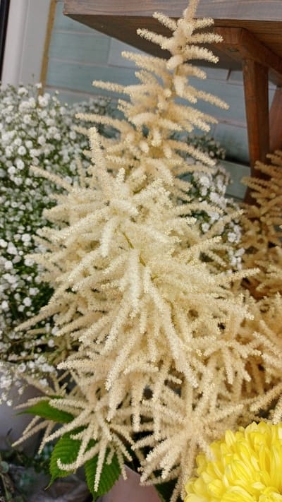 This is a close-up, eye-level, vertical shot of a bouquet of flowers, likely indoors given the lighting. The primary subject is a feathery, pale yellow-tan flower, possibly Astilbe, arranged in a cascading, bottlebrush-like manner. Behind it, a cluster of tiny white flowers, resembling Baby's Breath, fills the background on the left. A bright yellow chrysanthemum is partially visible in the lower right corner. Green leaves are also present, some curled and others more flat. The bouquet rests on a surface, with what appears to be the edge of a wooden shelf or table in the upper portion of the image. The background wall is paneled with light blue-grey wood. There are no people or animals visible in the image. The overall impression is of a decorative floral arrangement, possibly a centerpiece or part of a larger display. The provided image does not contain any discernible elements that would allow for its specific location within Gusev, Russia.
